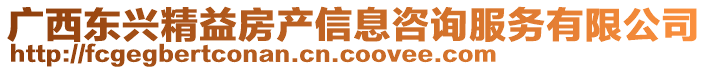 廣西東興精益房產(chǎn)信息咨詢服務(wù)有限公司