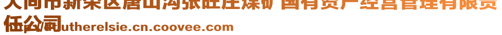 大同市新榮區唐山溝張旺莊煤礦國有資產經營管理有限責
任公司