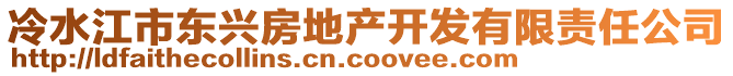 冷水江市東興房地產開發有限責任公司