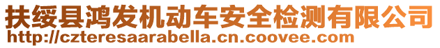 扶綏縣鴻發機動車安全檢測有限公司
