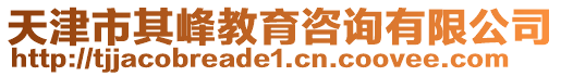 天津市其峰教育咨詢有限公司