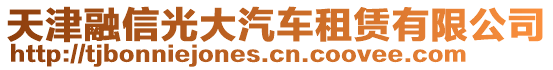 天津融信光大汽車租賃有限公司