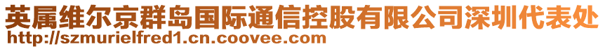 英屬維爾京群島國際通信控股有限公司深圳代表處
