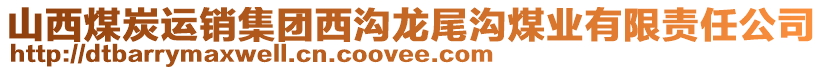 山西煤炭運銷集團西溝龍尾溝煤業(yè)有限責任公司