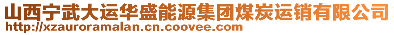 山西寧武大運(yùn)華盛能源集團(tuán)煤炭運(yùn)銷(xiāo)有限公司