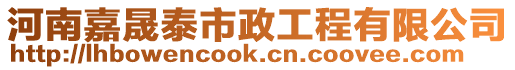 河南嘉晟泰市政工程有限公司