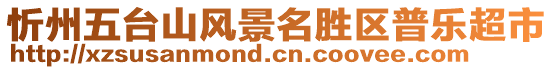 忻州五臺(tái)山風(fēng)景名勝區(qū)普樂超市