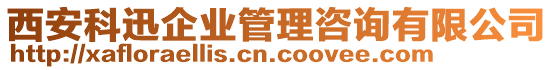 西安科迅企業(yè)管理咨詢有限公司