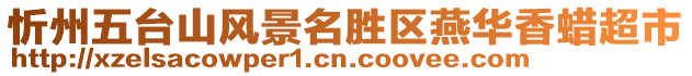 忻州五臺山風景名勝區(qū)燕華香蠟超市