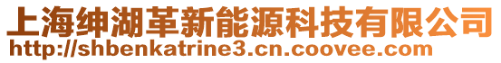 上海紳湖革新能源科技有限公司