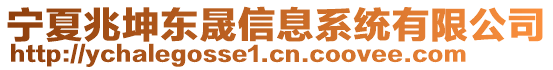 寧夏兆坤東晟信息系統(tǒng)有限公司