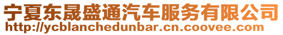 寧夏東晟盛通汽車服務有限公司