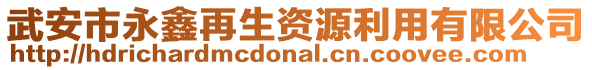 武安市永鑫再生資源利用有限公司