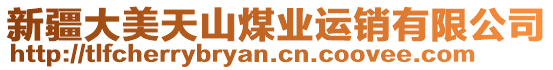 新疆大美天山煤業(yè)運(yùn)銷有限公司