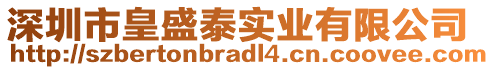 深圳市皇盛泰實業有限公司