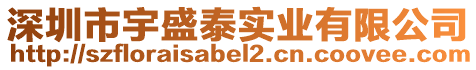 深圳市宇盛泰實業有限公司