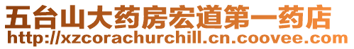 五臺(tái)山大藥房宏道第一藥店