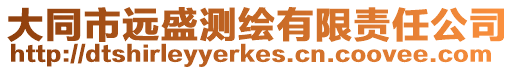 大同市遠(yuǎn)盛測(cè)繪有限責(zé)任公司