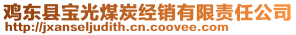 雞東縣寶光煤炭經(jīng)銷有限責任公司