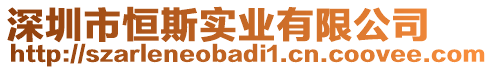 深圳市恒斯實業(yè)有限公司