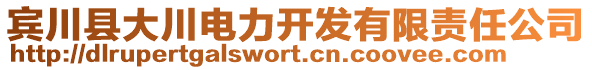 賓川縣大川電力開(kāi)發(fā)有限責(zé)任公司