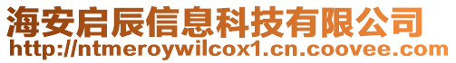 海安啟辰信息科技有限公司