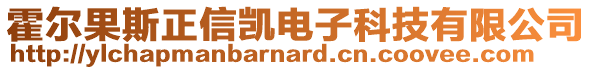 霍爾果斯正信凱電子科技有限公司