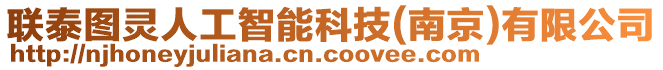 聯(lián)泰圖靈人工智能科技(南京)有限公司