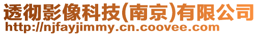透徹影像科技(南京)有限公司