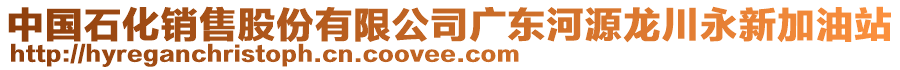 中國石化銷售股份有限公司廣東河源龍川永新加油站