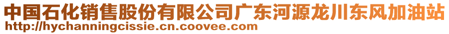 中國(guó)石化銷(xiāo)售股份有限公司廣東河源龍川東風(fēng)加油站