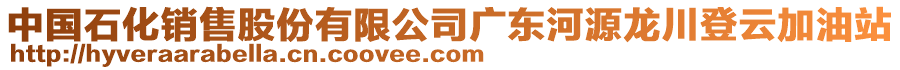 中國石化銷售股份有限公司廣東河源龍川登云加油站