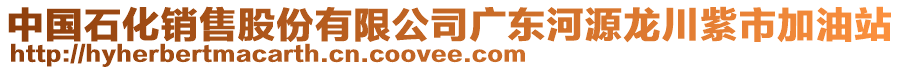 中國(guó)石化銷售股份有限公司廣東河源龍川紫市加油站