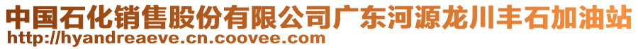 中國石化銷售股份有限公司廣東河源龍川豐石加油站