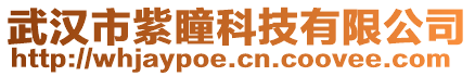 武漢市紫瞳科技有限公司