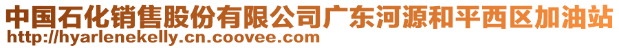中國石化銷售股份有限公司廣東河源和平西區加油站