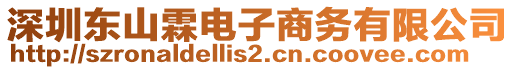 深圳東山霖電子商務(wù)有限公司