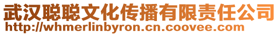 武漢聰聰文化傳播有限責(zé)任公司