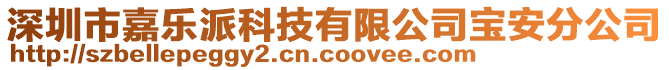 深圳市嘉樂派科技有限公司寶安分公司