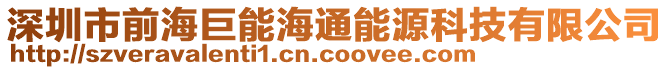 深圳市前海巨能海通能源科技有限公司