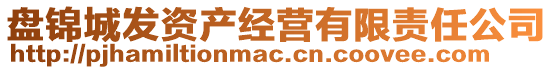 盤錦城發(fā)資產(chǎn)經(jīng)營有限責(zé)任公司