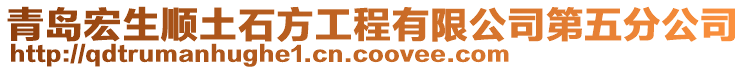 青島宏生順土石方工程有限公司第五分公司