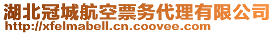 湖北冠城航空票務代理有限公司