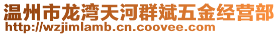 溫州市龍灣天河群斌五金經(jīng)營部