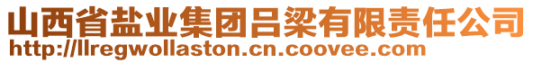 山西省鹽業(yè)集團(tuán)呂梁有限責(zé)任公司