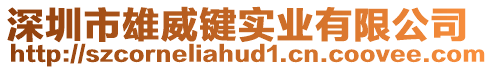 深圳市雄威鍵實(shí)業(yè)有限公司