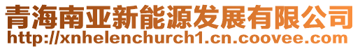 青海南亞新能源發展有限公司