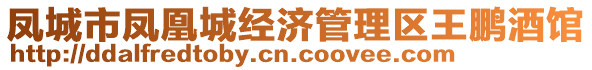 鳳城市鳳凰城經(jīng)濟管理區(qū)王鵬酒館
