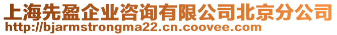 上海先盈企業(yè)咨詢有限公司北京分公司