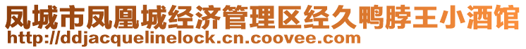 鳳城市鳳凰城經(jīng)濟管理區(qū)經(jīng)久鴨脖王小酒館